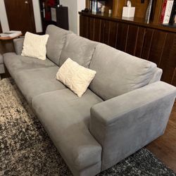 Grey Couches