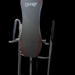 Inversion Table 