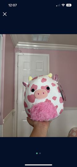 2023 Evangelica Valentines Day Squishmallow