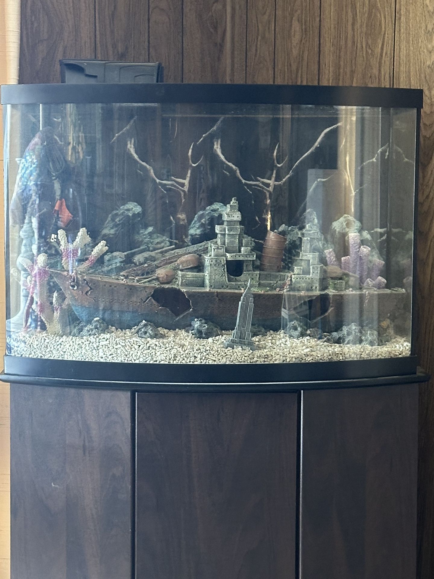 50 Gallon Tank And Stand