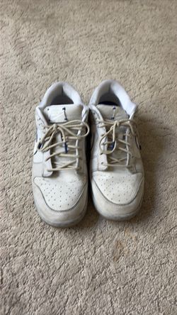 Nike Dunk Low Wolf Grey Pure Platinum