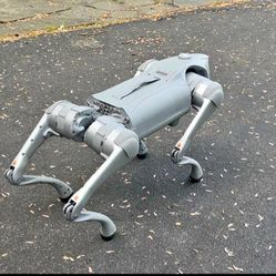 Unitree Go2 robot dog