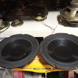 8" Subwoofers 