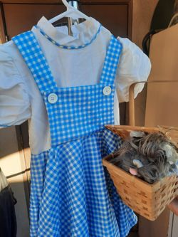 Dorothy Costume XS