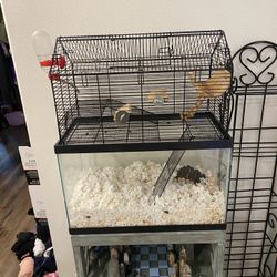Glass Tank With Wire Topper Cage