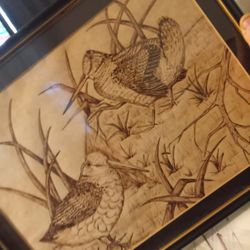  A Signature By C.Wallace  And Drawing Of Birds Of The Shore