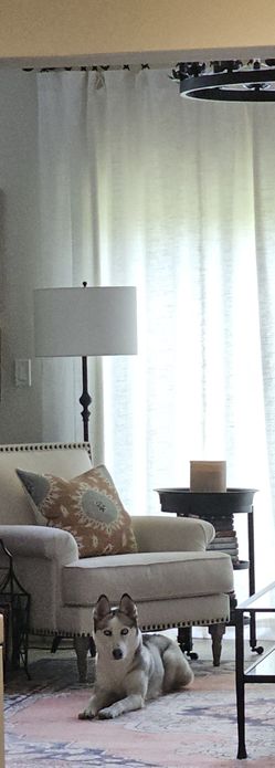 Pottery Barn Gallery Straight-Sided Lamp Shade

