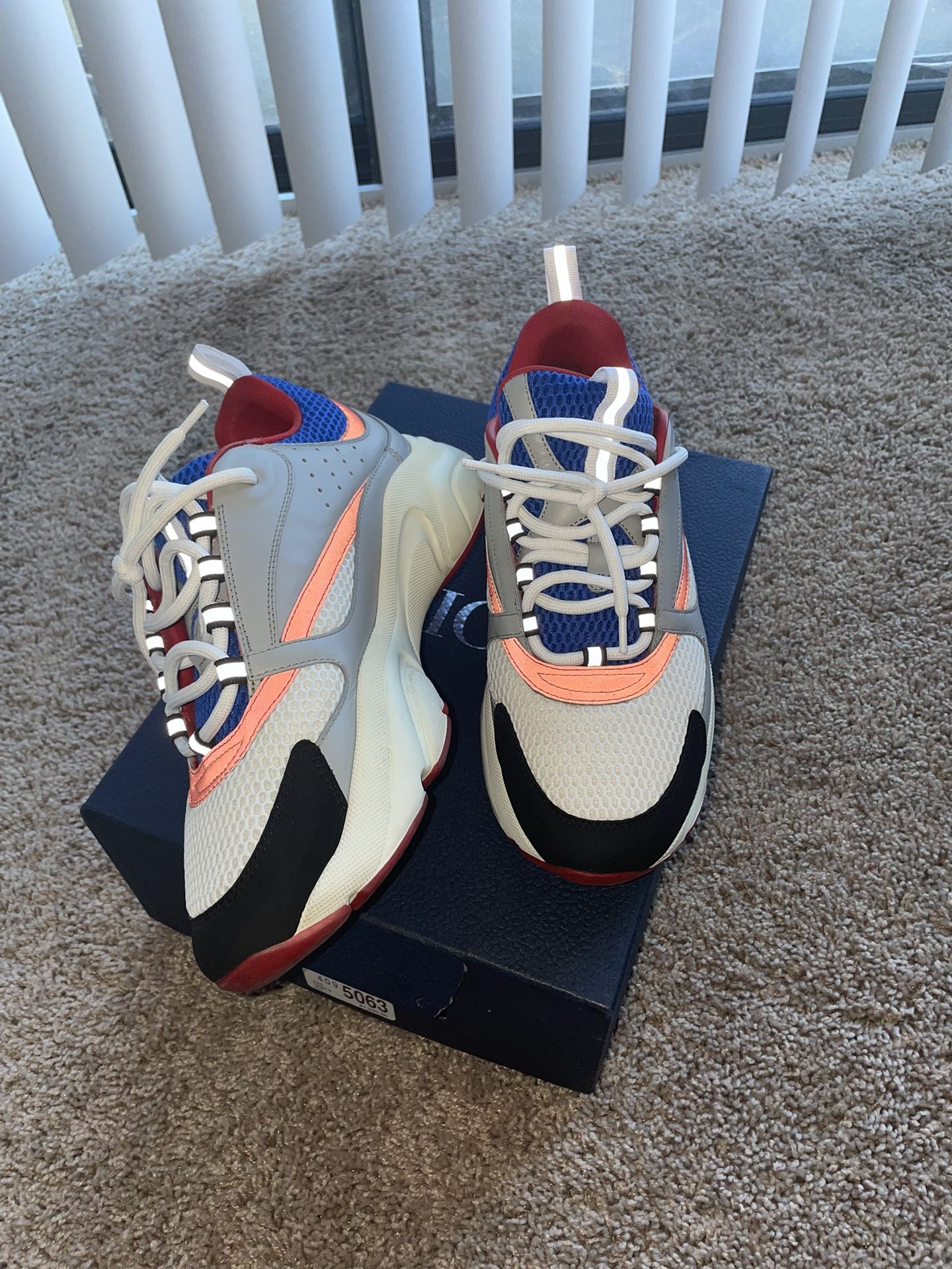 Dior B22 sneakers for Sale in Saint Charles, MD - OfferUp