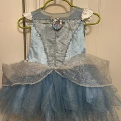 Cinderella Costume