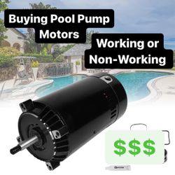 Pool Pump Motors 