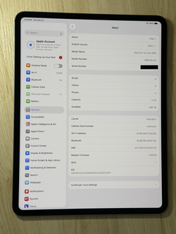 Apple iPad Pro 13" M5 16GB 2TB Wi-Fi + Cellular ~ Unlocked