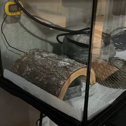 Reptile tank, Gecko, turtle, bearded dragon, etc 