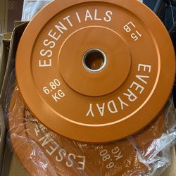 Brand New 15 lb Bumper Plates pair 