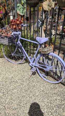 Bicycle with Succulent baskets... Great yard decor!!!