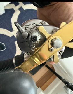 Shimano Torium 14 and zodius rod