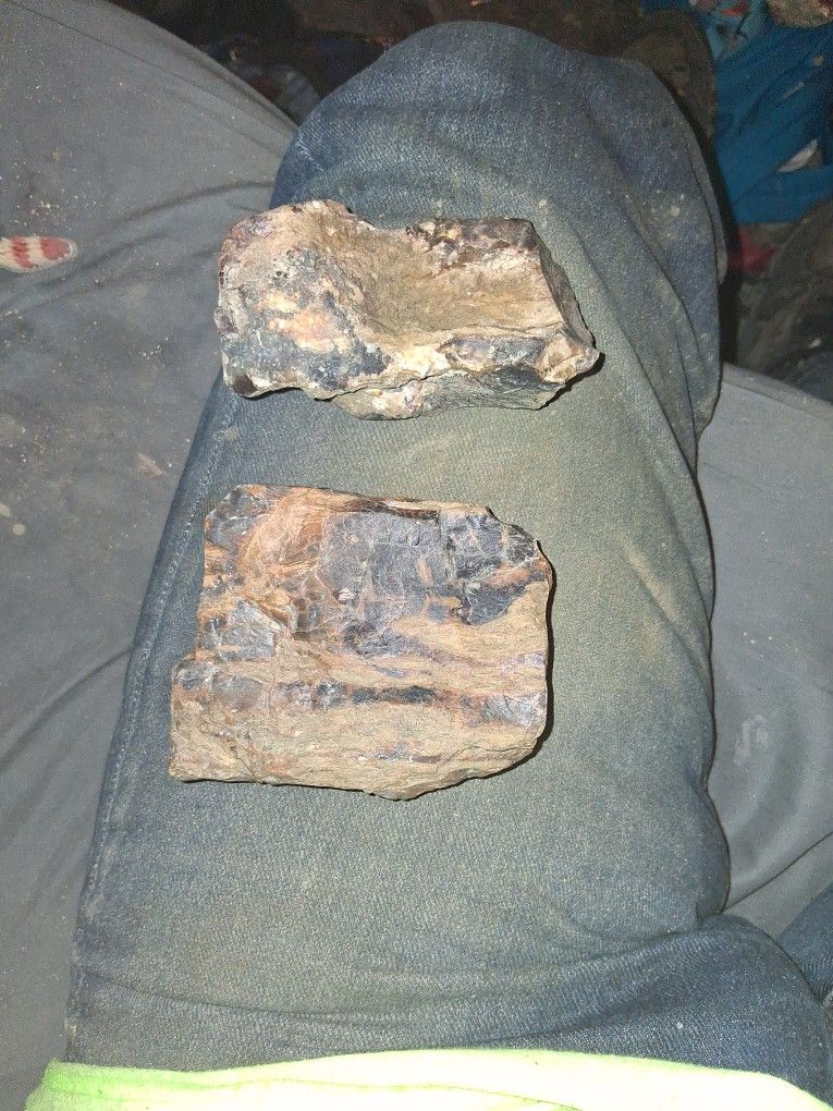 Petrified Wood