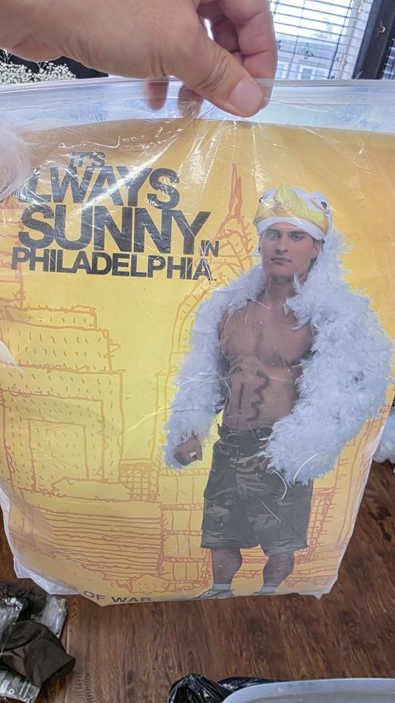 Always Sunny In Philadelphia costume birds Of war Standard Size