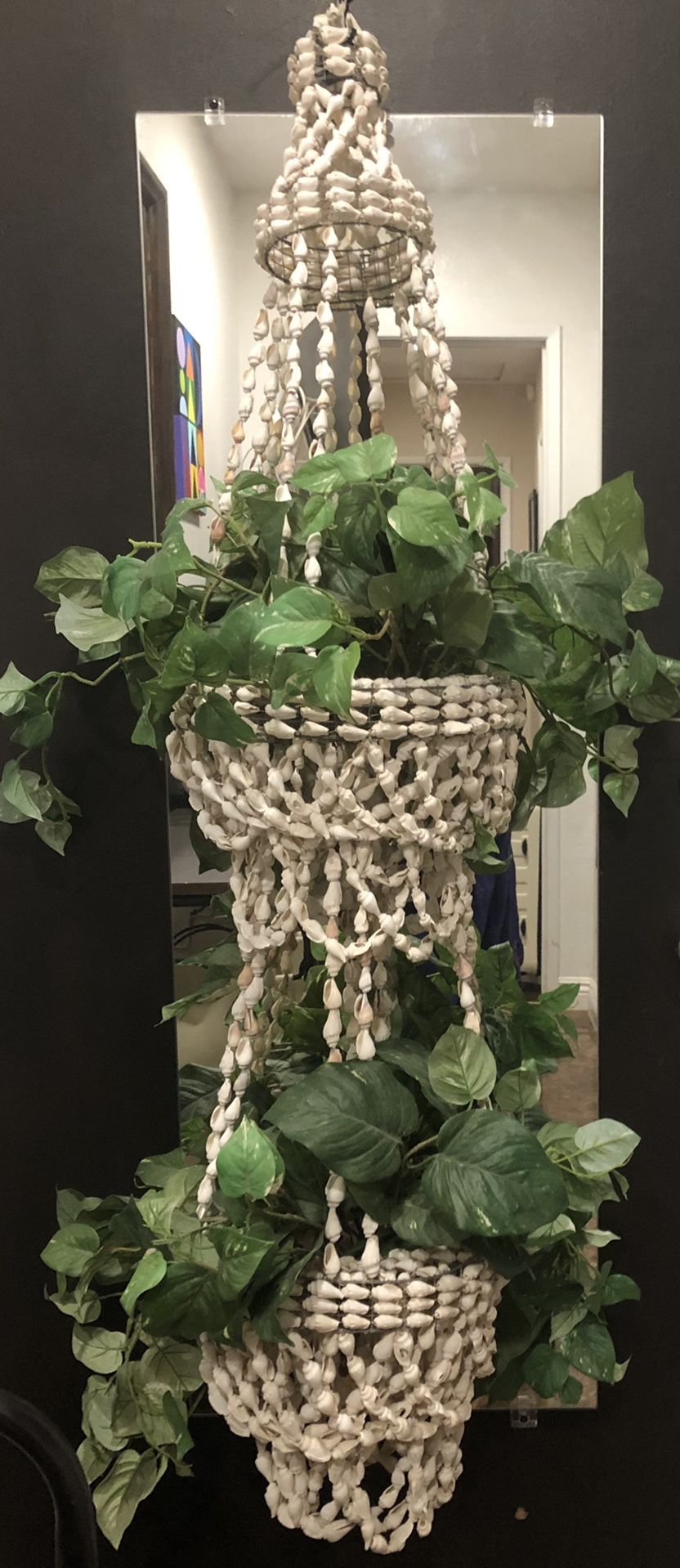 Vintage Seashell Plant Hanger