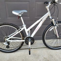 Trek Ladies Bicycle