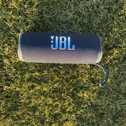 JBL Flip 6 Speaker