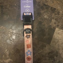 Lucy & Co Let’s Groove M Dog Collar 