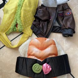 Dog Halloween Costume 