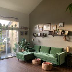 Green Velvet Couch