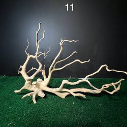 Spider Driftwood Custom Made