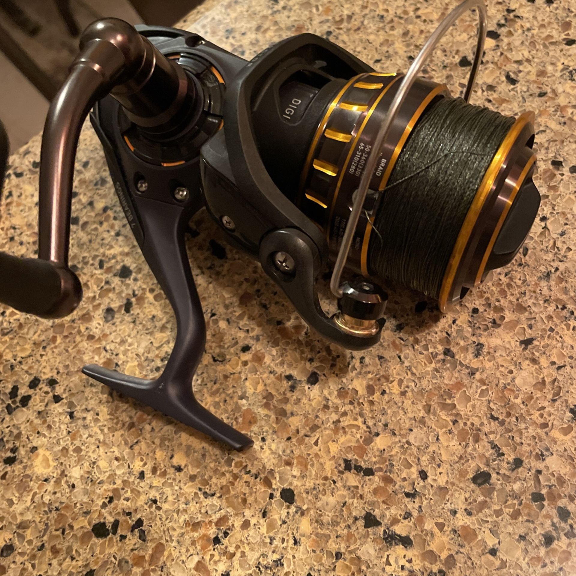BG 5000 Fishing Reel