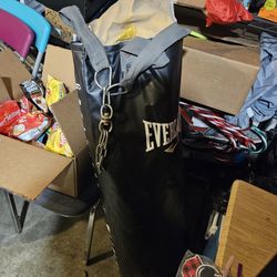 Everlast Punching Bag $30