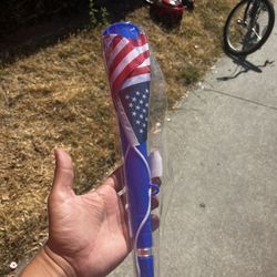 US Horn