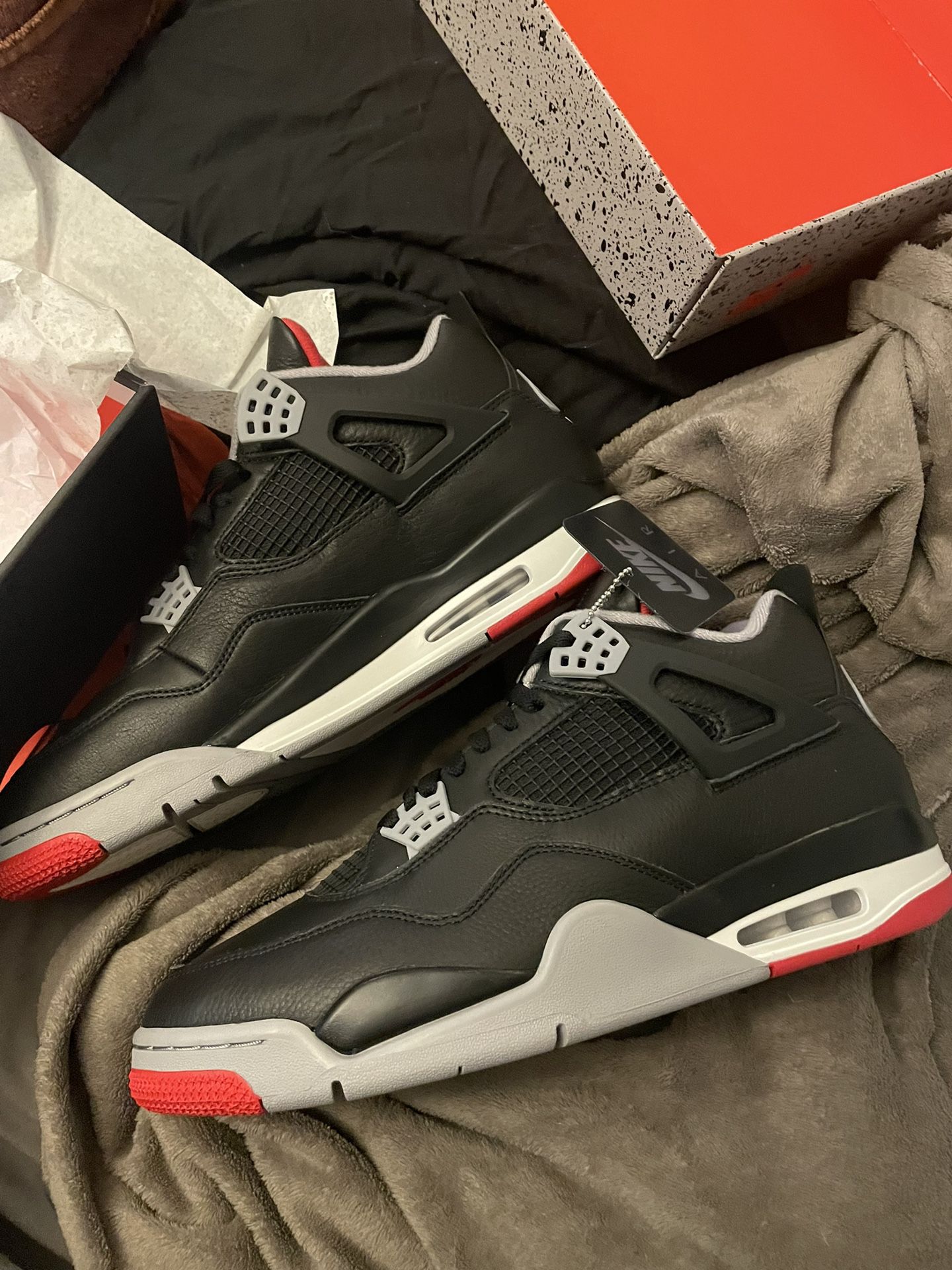 Bred 4 Reimagined Size 12