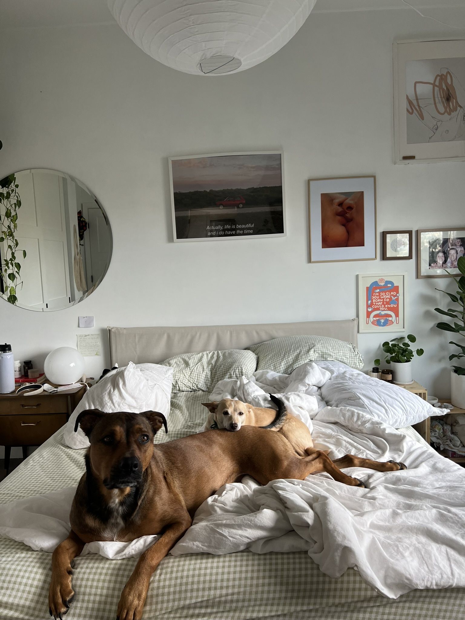 IKEA Queen Bed Frame