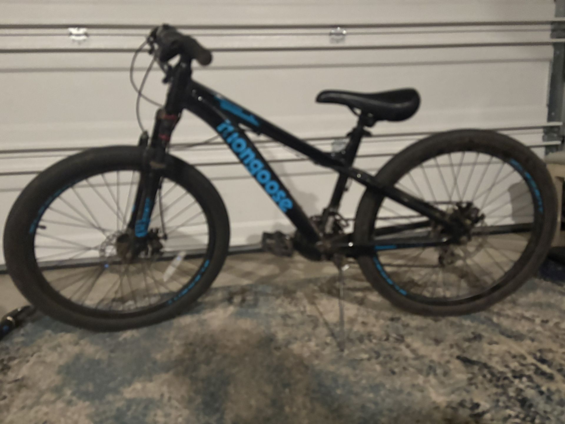 Mongoose Mountain Bike