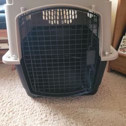 38 Inch Dog Travel Crate