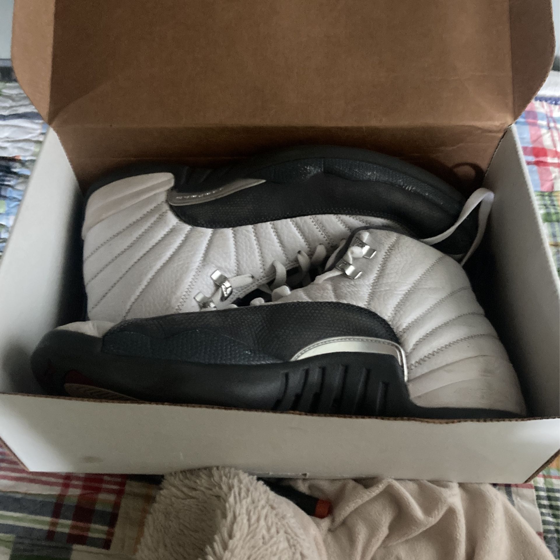 Air Jordan 12 Size 12