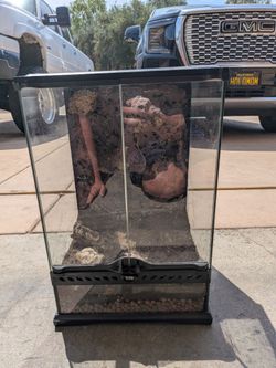 Leopard Gecko Breeding Tank
