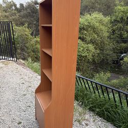 2 Tall Bookshelves / Storage Cabinets with Door