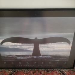 Painting / Photograph Whale 34" x 25"