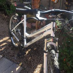 New Ladies Bike