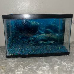 5 Gallon Fish Tank