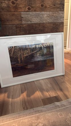 Fred W. Thomas Brook Trout Large Framed Print