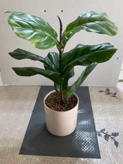 Faux Fiddle Leaf Fig in White Ceramic Pot