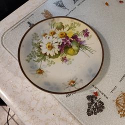 Hand Painted Prussia Collectors Plate