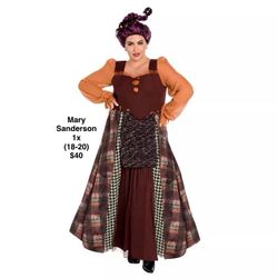 Mary Sanderson Halloween costume (1x)