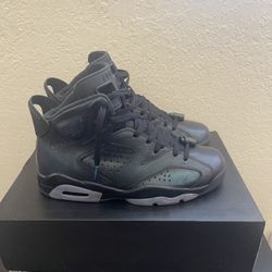 Jordan 6 All Star Chameleon