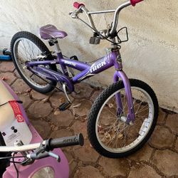 Kid Trek Bike
