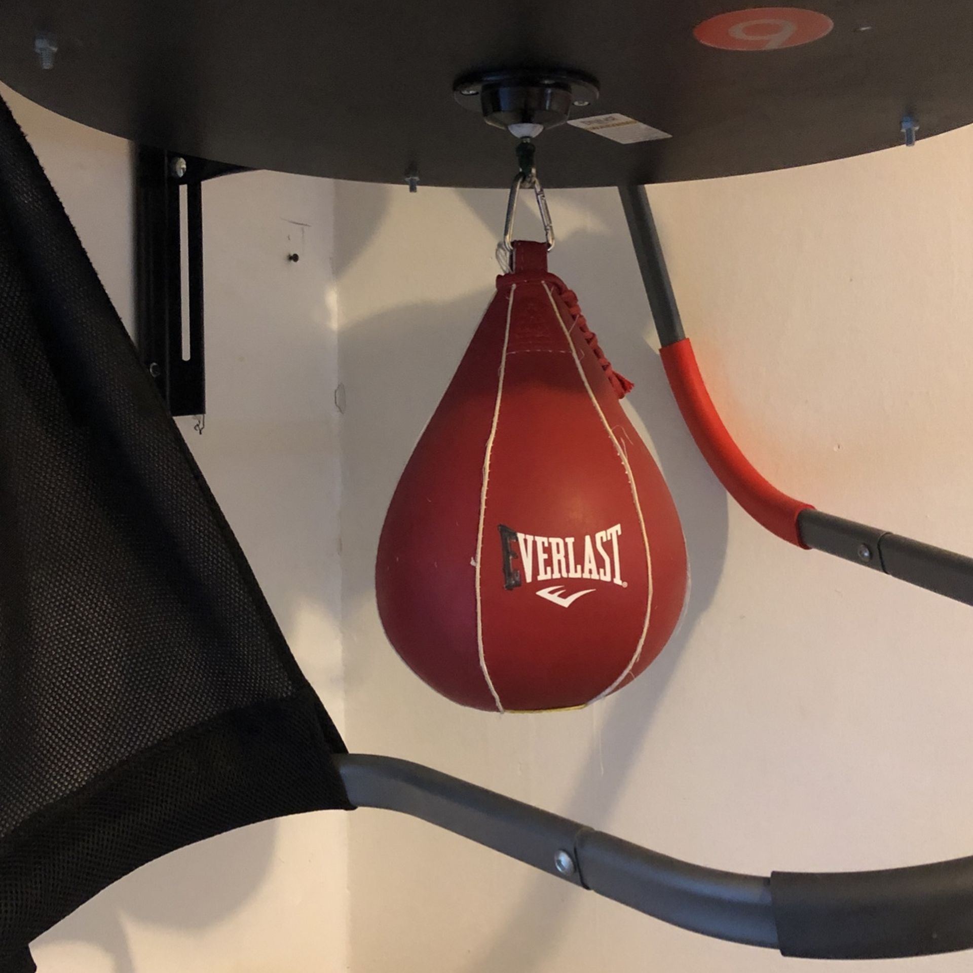 Speed Bag With Mount