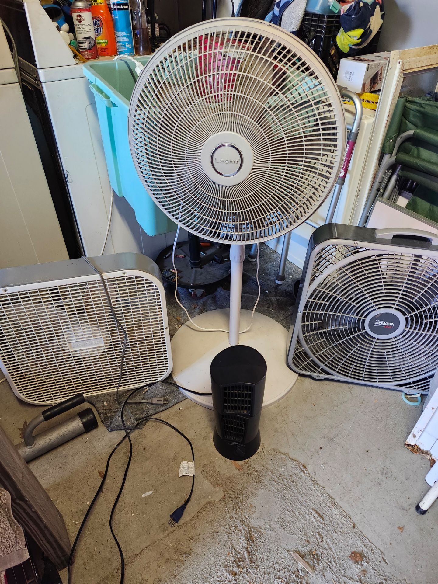 Fans