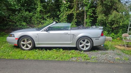 2001 Ford Mustang